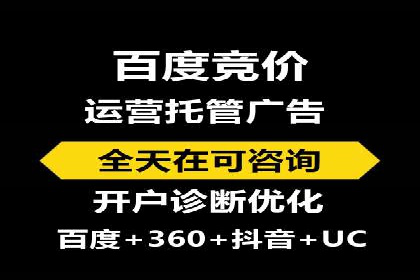 竞价广告与自然搜索的结合策略：XX网站的案例分析